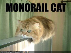 Funny-pictures-monorail-cat1
